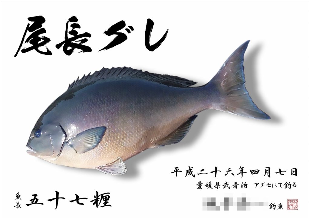 デジタル魚拓尾長