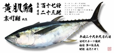 哀川様黄肌鮪1　デジタル魚拓